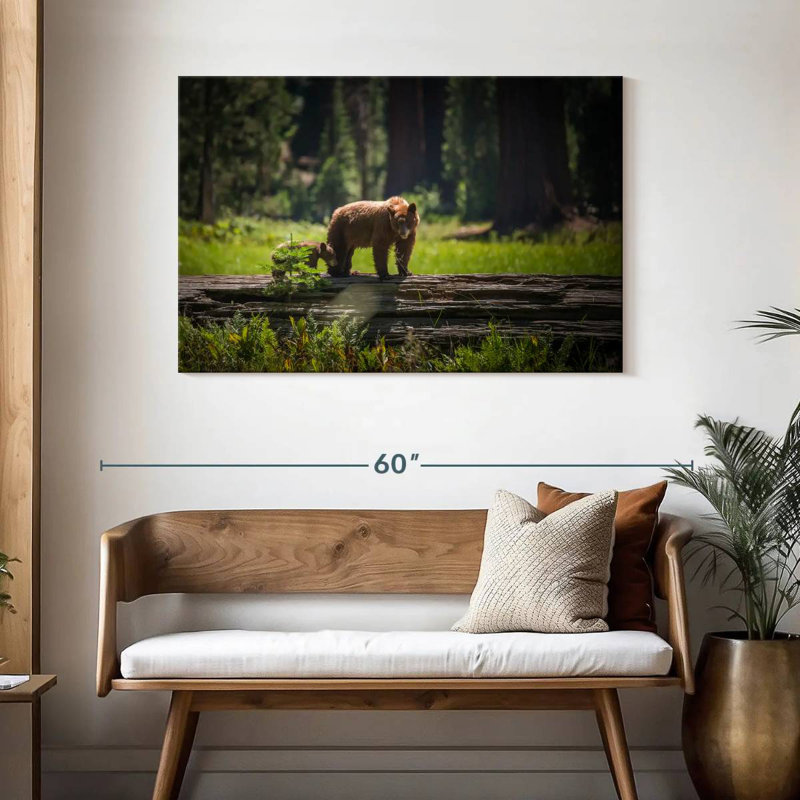 Crowle Sequoia Wild Bears, 30" H x 45" W