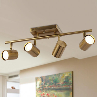 Tevye 4 -Light Track Lighting  with Dimmable and Adjustable Head