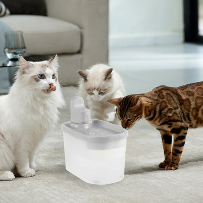 Fontaine d'eau pour chat avec capteur de mouvement PETMAker