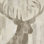 Golden Antler I Grey Crop - impression