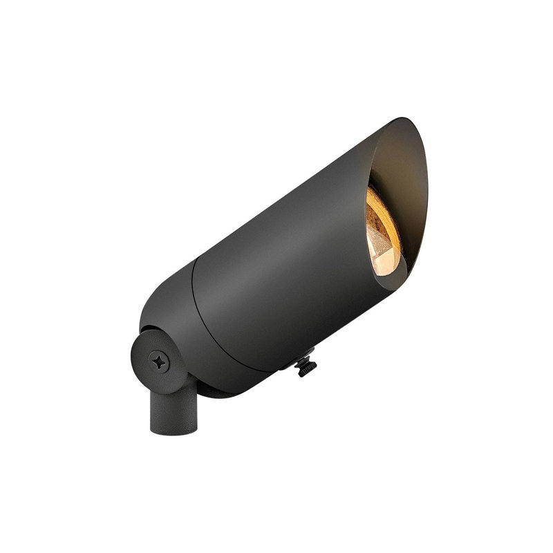 Hinkley Landscape Accent Spot Light 120V, Black