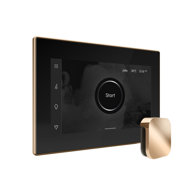 Ensemble de commande de douche à vapeur Xdream Max avec commande iSteamX et tête de vapeur linéaire , Noir / or poli