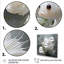 «White Butterfly Fish Underwater Realm», art mural Japon-884062971-884062970