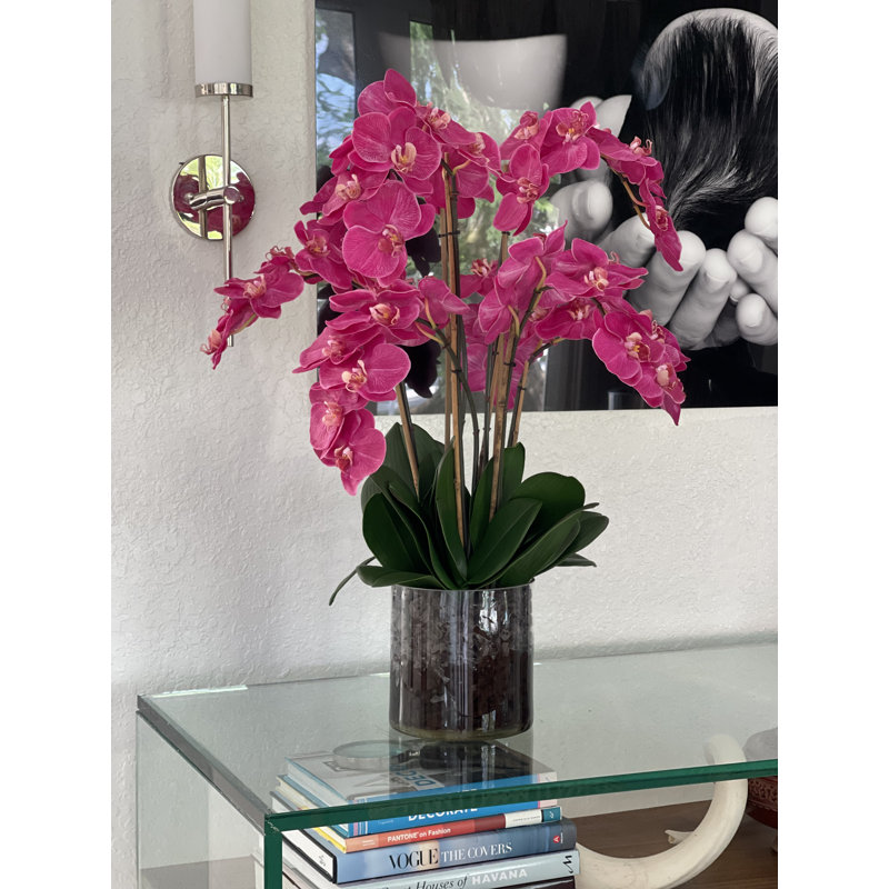 Blooming Orchid in Vase, Pink