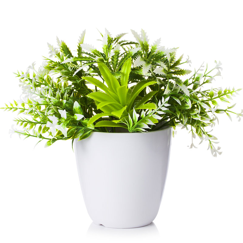 Plante à feuilles persistantes artificielle 8 "en pot