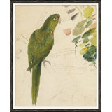 Green Parrot Giclee Print by Soicher Marin Archives