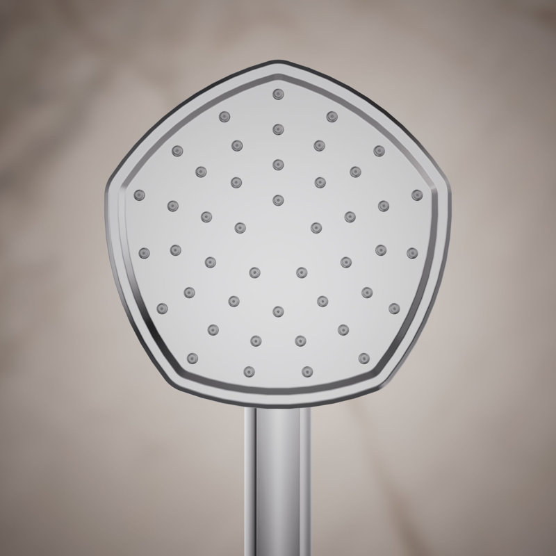 Douchette à main 2,5 gallons par minute à fonction unique, Chrome poli