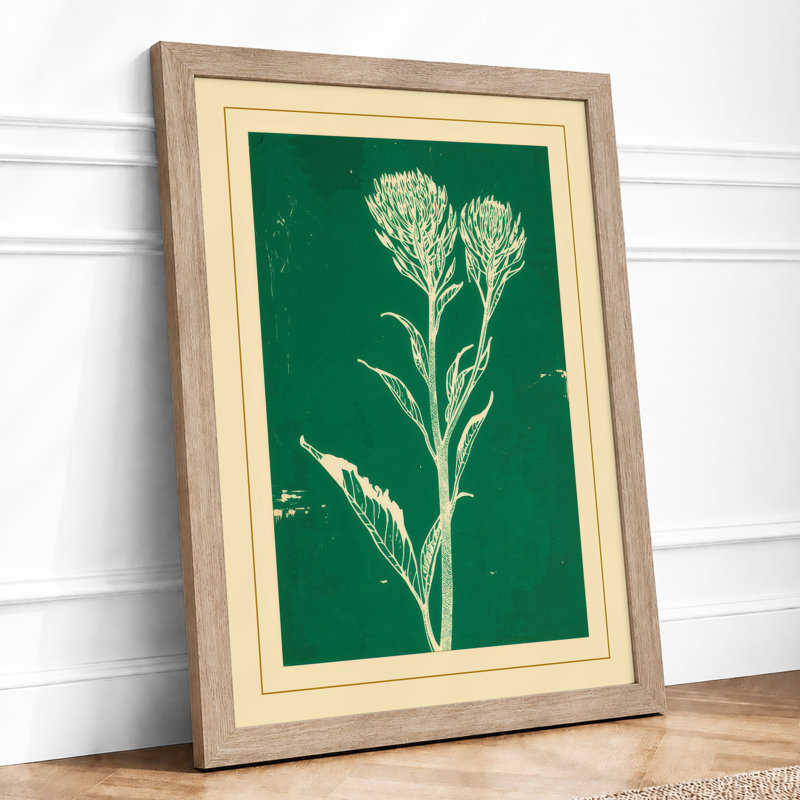 Cream Carnation Study Botanical - Framed Print, A4 - 29.7 x 21.0 cm, Oak