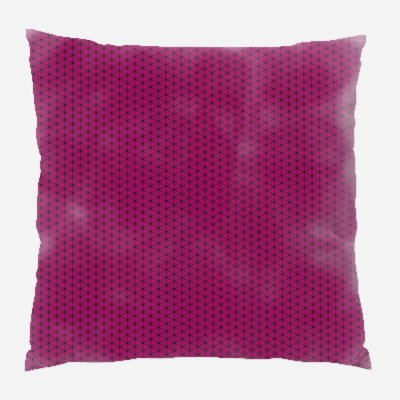 Coussin décoratif transparent