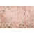 Rose est en rupture de stock