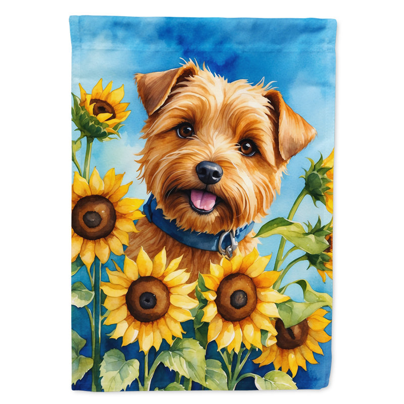 Lévrier irlandais dans le drapeau du jardin de tournesols, Terrier de Norfolk