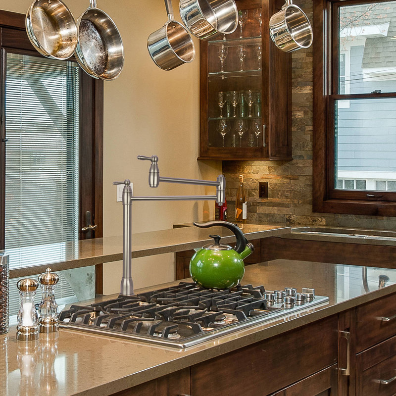 Akicon Kitchen Faucet Side Spray, Brushed Nickel