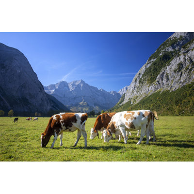 Happy Cows - Wrapped Canvas Print