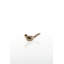 Dove Metal Tealight-2027680539