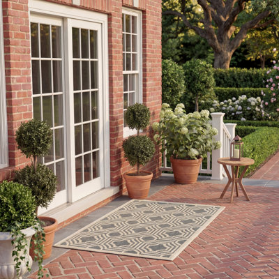 Tapis intérieur / extérieur gris foncé / beige Arneshia