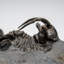 Stone Decorative Object