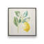 Zesty Little Sunshine, ensemble de 2 impressions-568304937-568304977-568304983