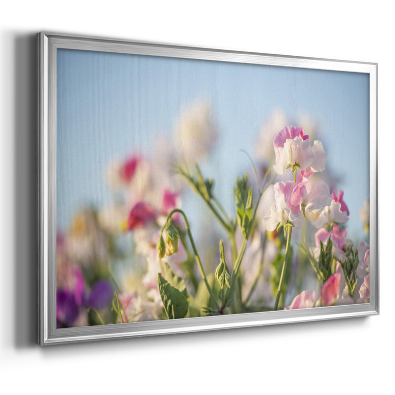 «Spring Petals», reproduction sur toile, H 14 po x l 20 po x P 1,5 po, Argent