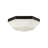 Arlenne Glass Flush Mount-1183116925