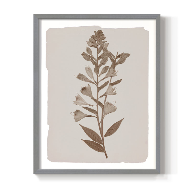 Impression botanique monochrome I - bois massif, Gris, H 15 po x l 12 po