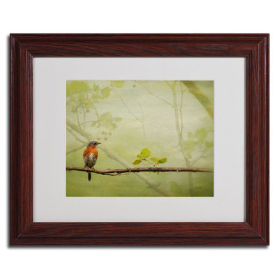« rouge-gorge de printemps » par lois bryan, reproduction de photo encadrée