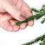 Arbre Norfolk 6 pi Natural Touch