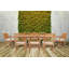 Angelicamae Outdoor 9 - Piece Teak Dining Set with Cushions