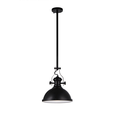 Pawel 1 - Light Black Single Pendant