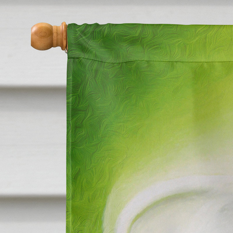 Drapeau de jardin 2 côtés lilies par sinead jones, H 15 po x l 11 po
