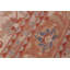 Tapis ivoire unique de 12 pi 9 po x 16 pi 7 po Kellyanna par Arshs Fine Rugs