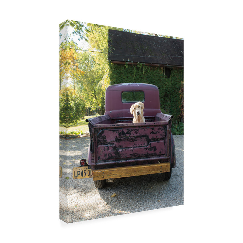Art sur toile «Jim Out», Jim Dratfield, Mauve, H 32 po x l 24 po x P 2 po