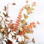 Arrangement de faux coton longue tige