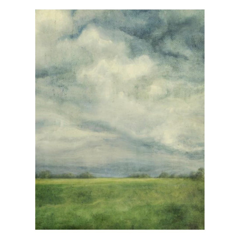 Blur par D'Alessandro Léon - reproduction d'art sur toile tendue, H 70 po x l 54 po, Extérieur