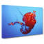 Beauty of the Jellyfish in Abstract - Wrapped Canvas-55317122
