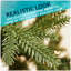 Anjalee 6' H Artificial Christmas Tree