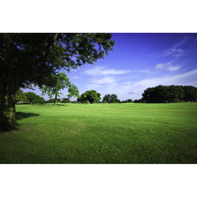Terrains de golf d'Apomares, H 12 po x l 18 po
