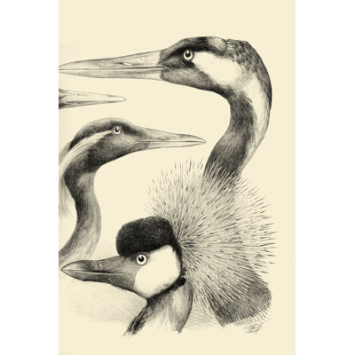 Waterbird Sketchbook I -  Painting