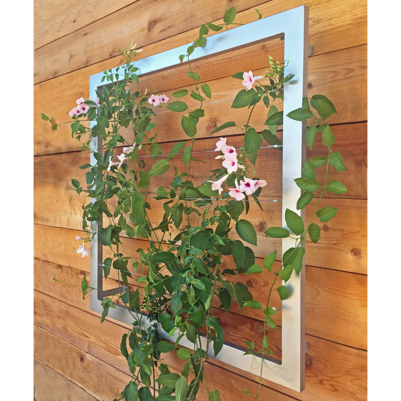 Treillis en acier Durene Wall, Zinc