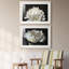 ALL AFLUTTER - ensemble de 2 reproductions-1761994145-1761994152-1778156556