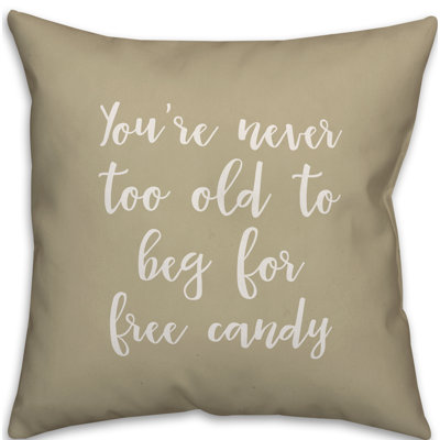  Housse de coussin carré et insert