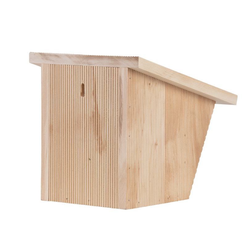 Bird House Robin in Giftbox Fsc 100%