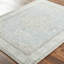 Oriental Area Rug-411932982