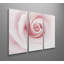 « rose excellence », impression multi-pièces sur toile-758933835