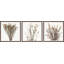 Brown Branches by Marmont Hill - 3 Piece Single Picture Frame Painting Set-72536292