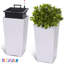 Plant Support-733360012