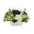 Dark Blue/White