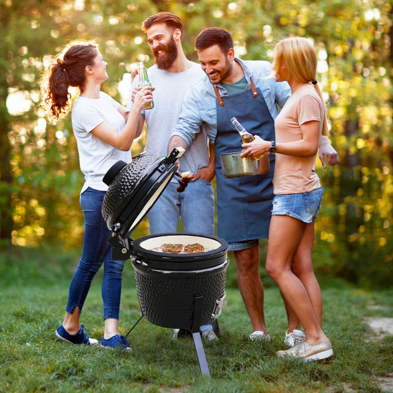 Dakota Fields 31.5cm W Kamado Charcoal Grill