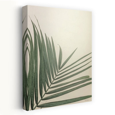 Golden Hour Palm Abstract Palm Tropical Art