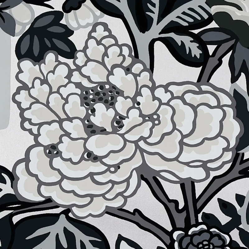 Chiang Mai Dragon Wallpaper, Smoke