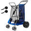 Chariot de plage avec grandes roues pour le sable, capacité de charge de 165 lb, chariot de plage pliant robuste avec roues solides de 10 po, sac isotherme, porte-parapluie, peut accueillir 4 chaises de camping et de pêche